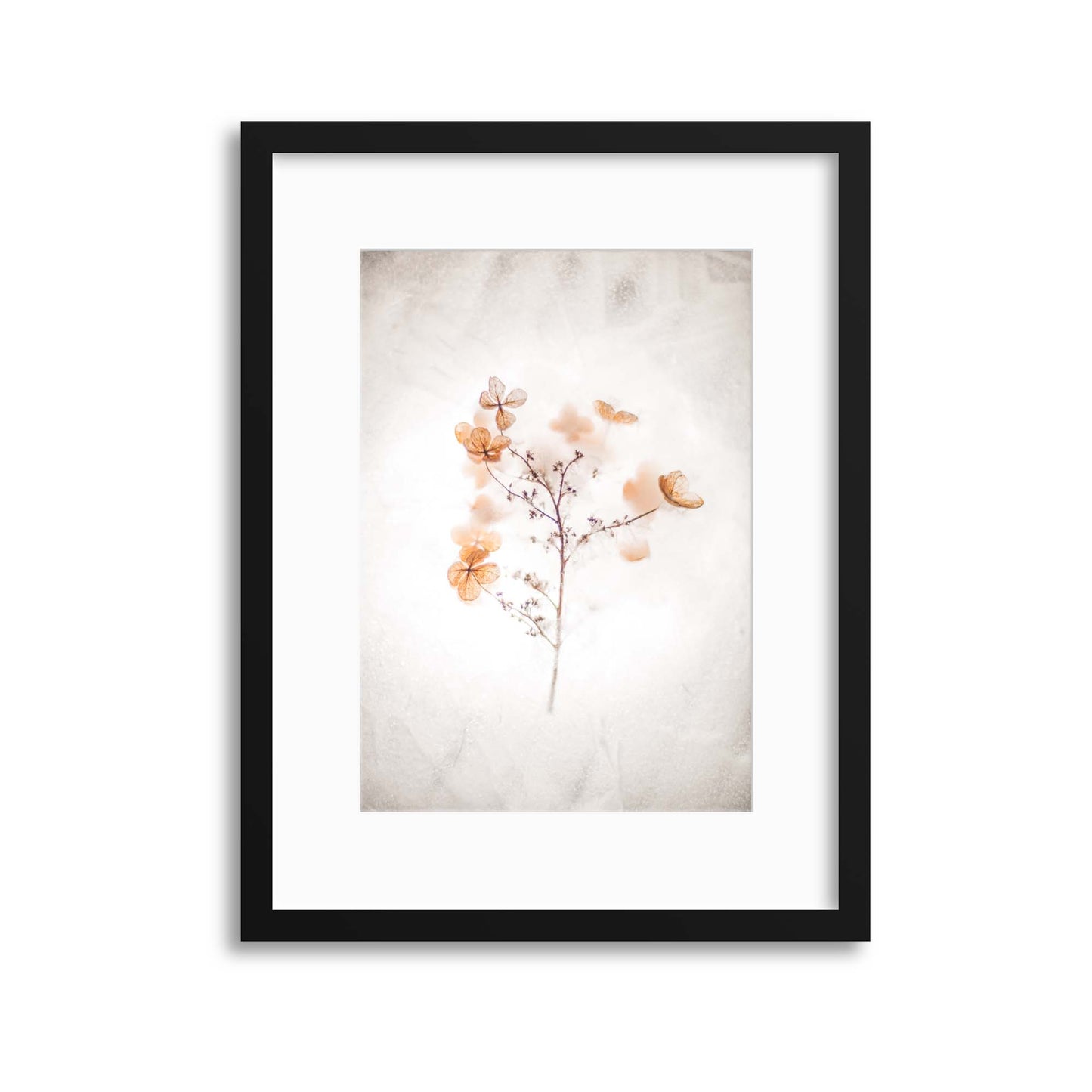 Delicate Shadows Collection No.10 Framed Print - USTAD HOME
