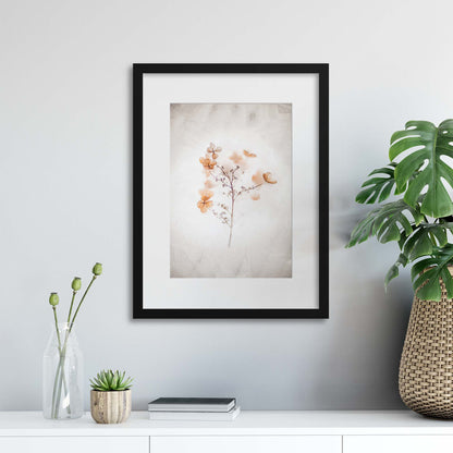 Delicate Shadows Collection No.10 Framed Print - USTAD HOME