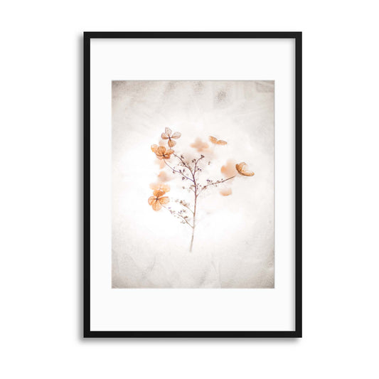 Delicate Shadows Collection No.10 Framed Print - USTAD HOME