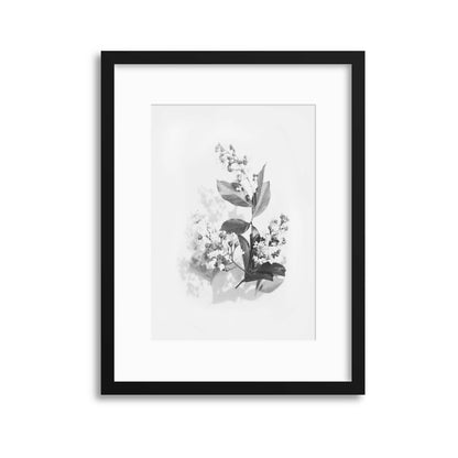 Delicate Shadows Collection No.9 Framed Print - USTAD HOME