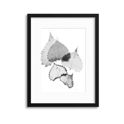 Delicate Shadows Collection No.7 Framed Print - USTAD HOME