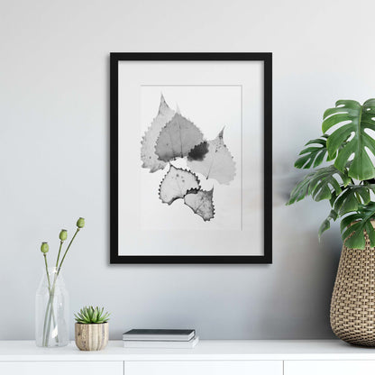 Delicate Shadows Collection No.7 Framed Print - USTAD HOME