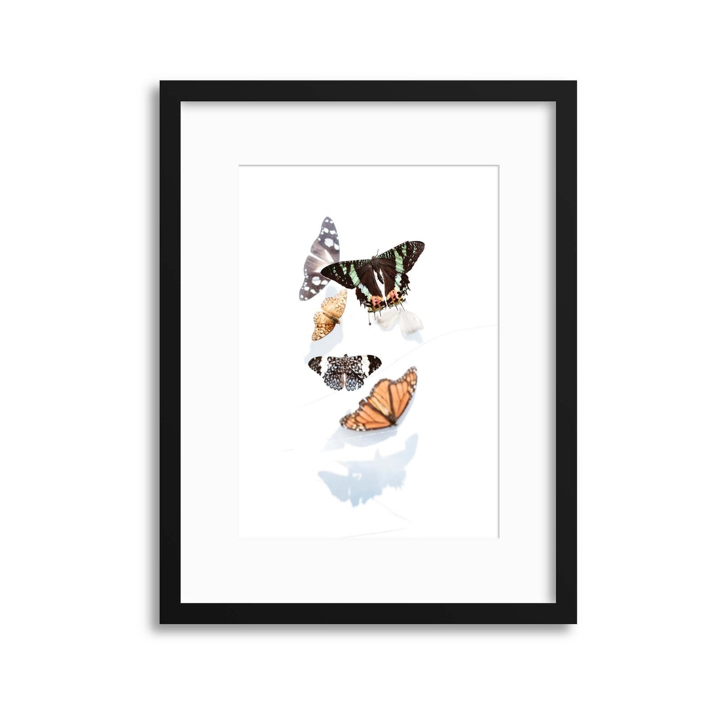 Delicate Shadows Collection No.3, Butterflies Framed Print - USTAD HOME