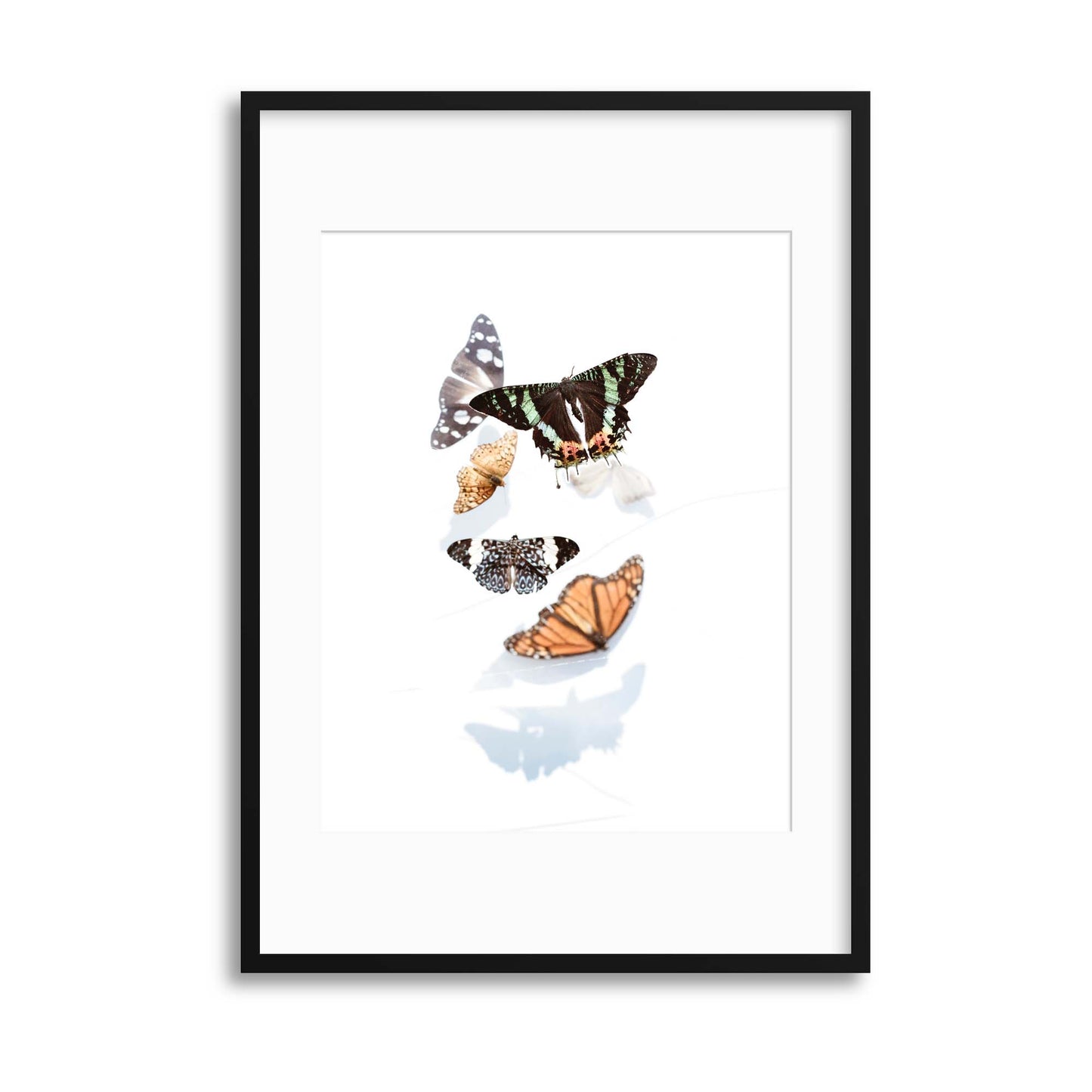 Delicate Shadows Collection No.3, Butterflies Framed Print - USTAD HOME