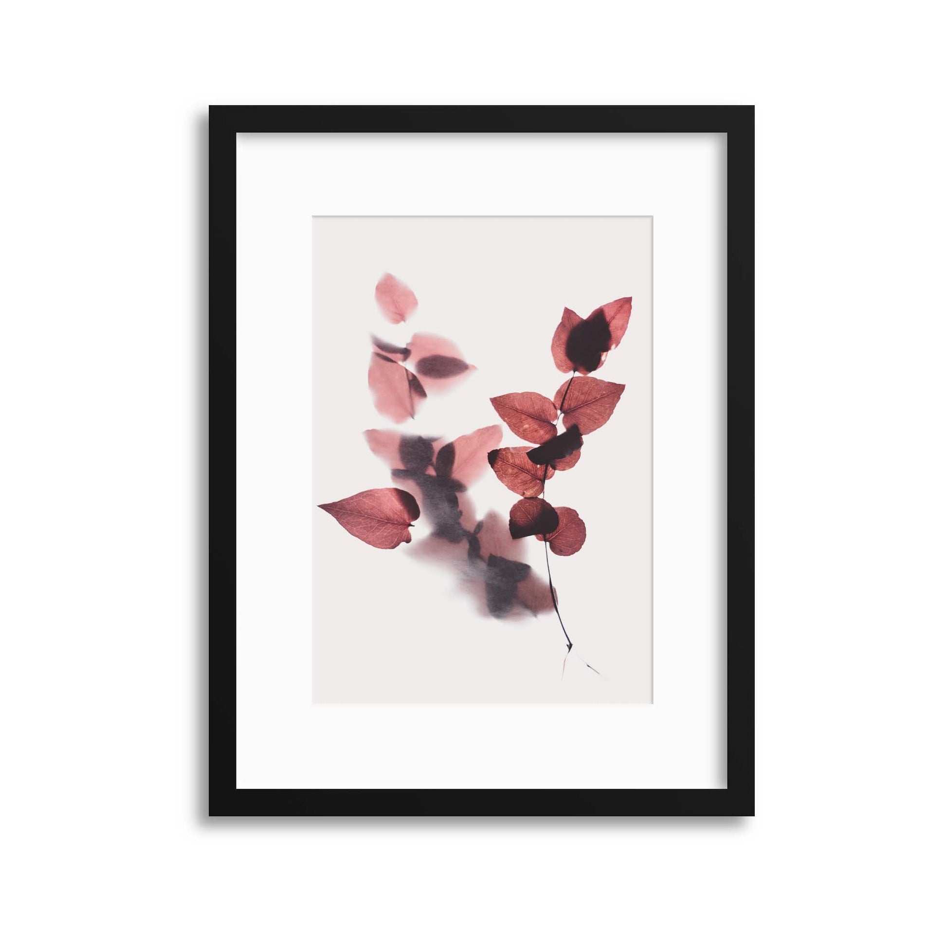 Delicate Shadows Collection No.2 Framed Print - USTAD HOME