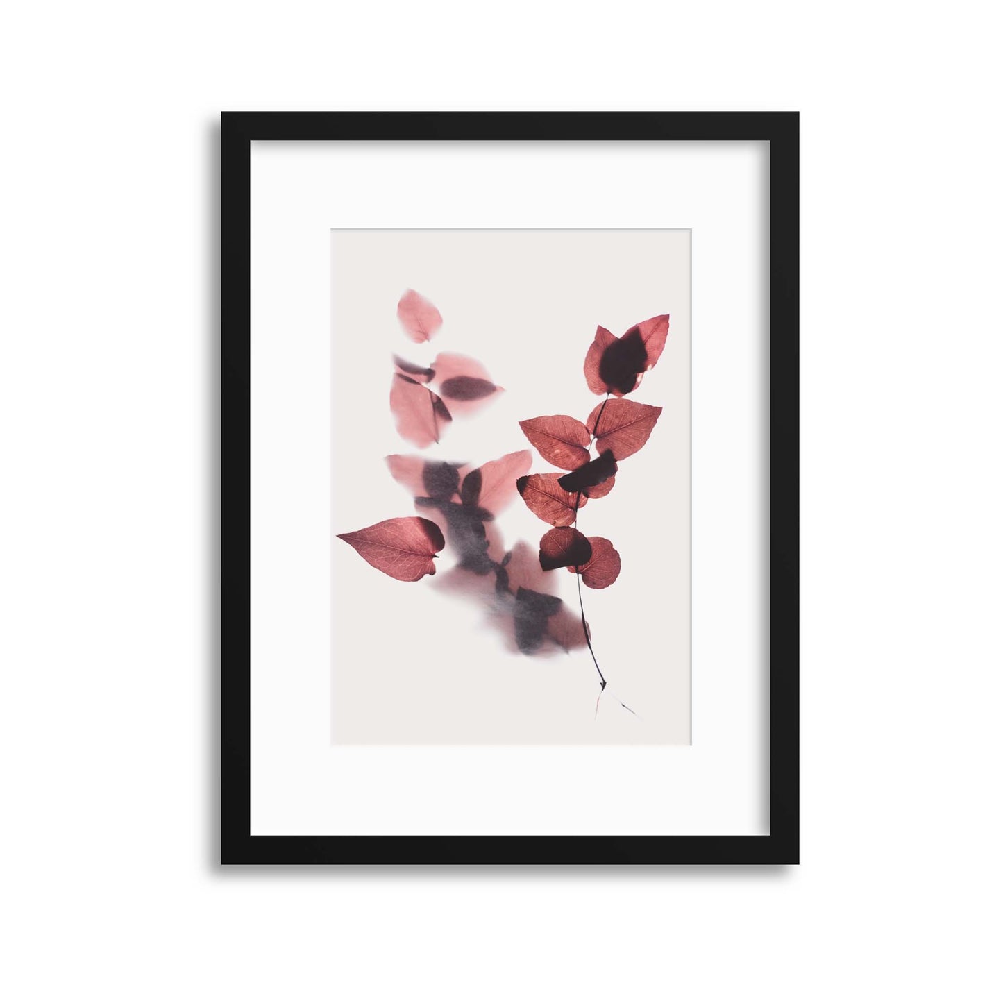 Delicate Shadows Collection No.2 Framed Print - USTAD HOME