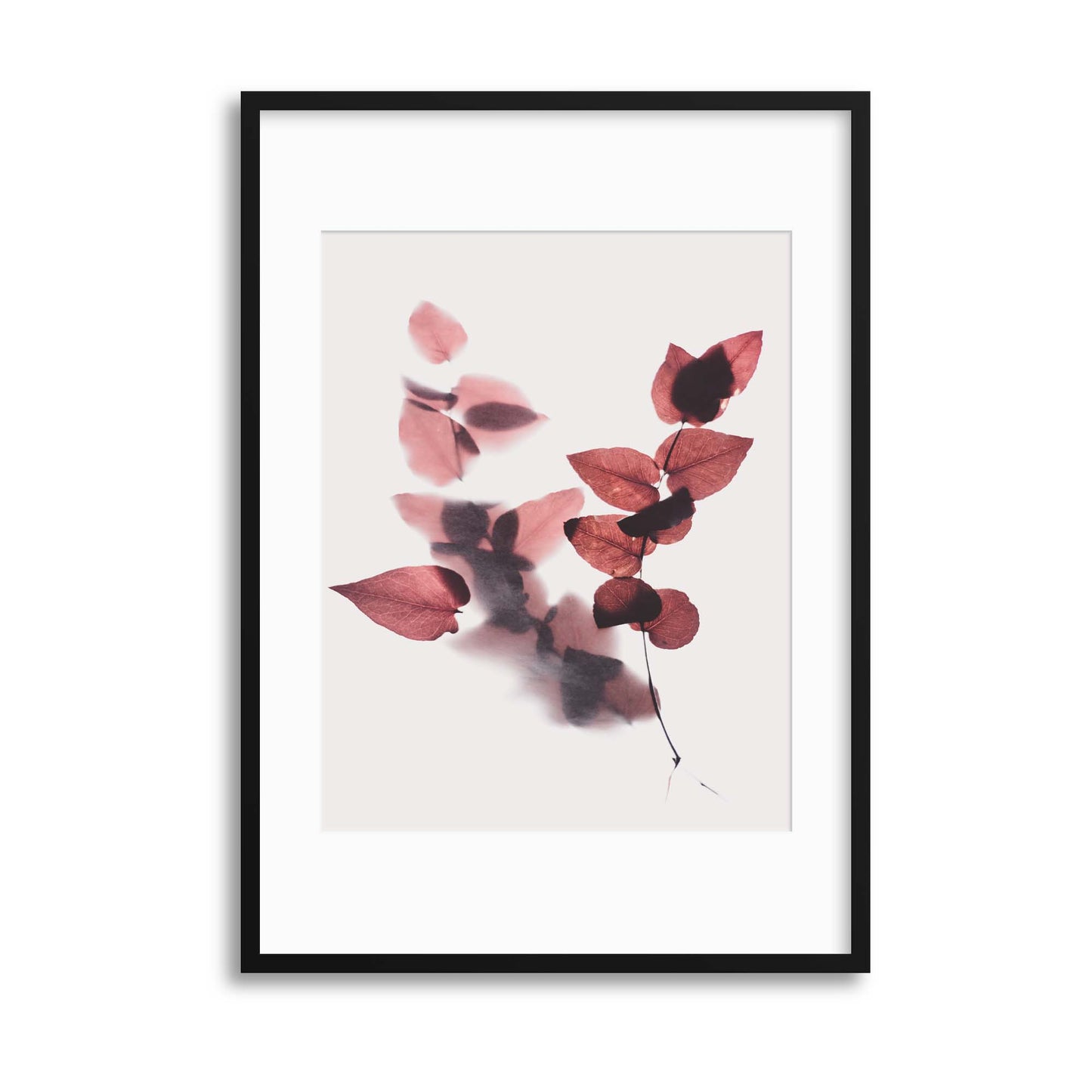 Delicate Shadows Collection No.2 Framed Print - USTAD HOME