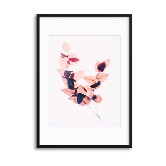 Delicate Shadows Collection No.1 Framed Print - USTAD HOME