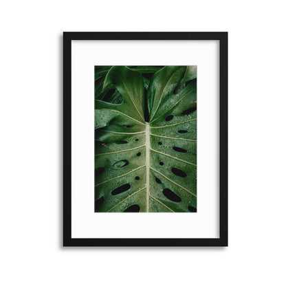 Monstera Framed Print - USTAD HOME