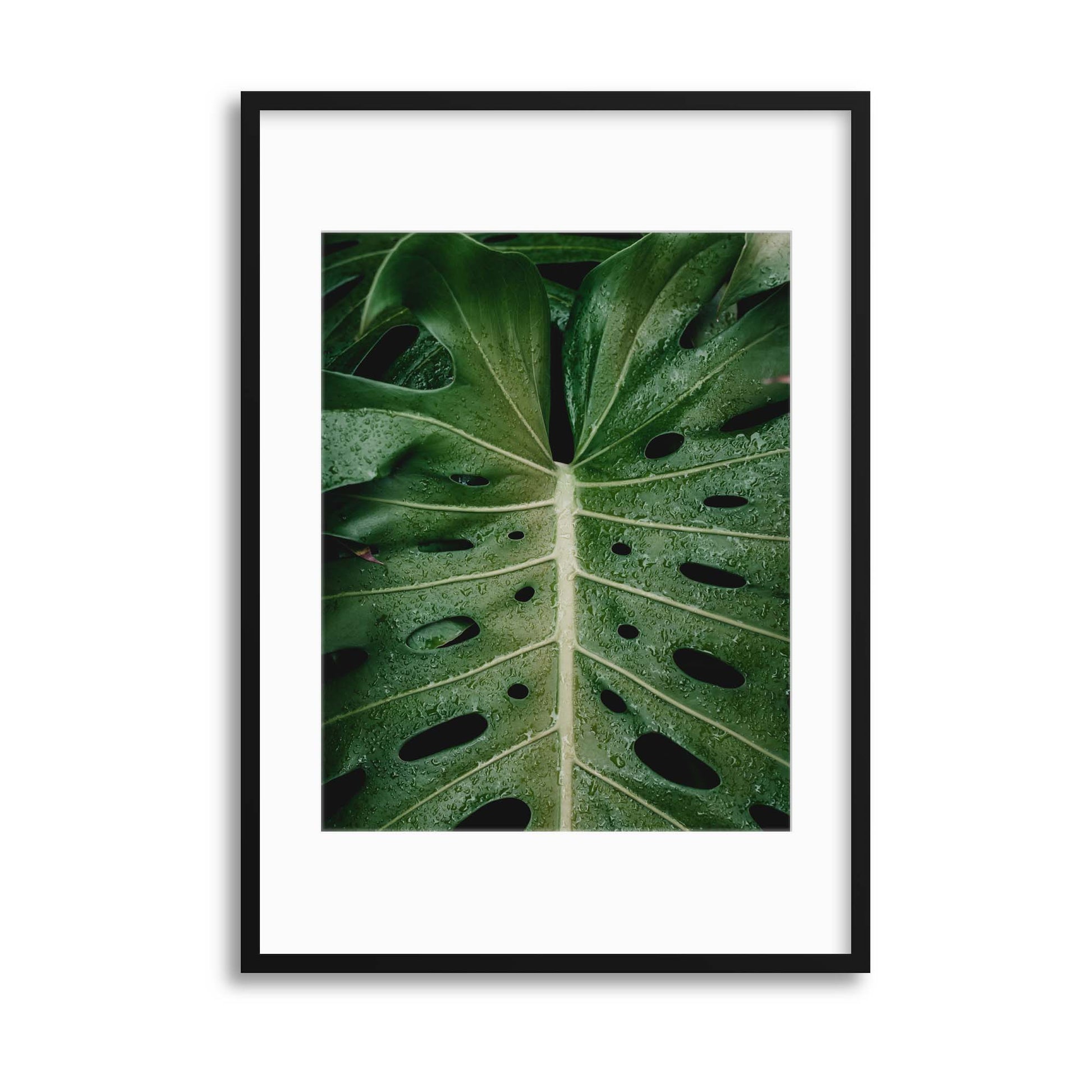 Monstera Framed Print - USTAD HOME