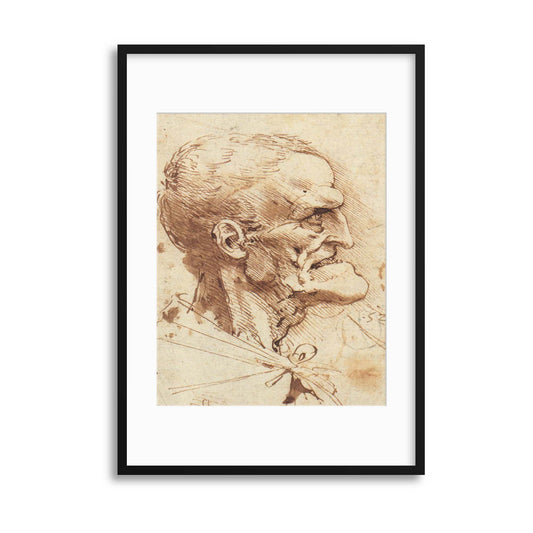 Leonardo da Vinci, Renaissance Illustration Framed Print - USTAD HOME