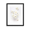 Soft Flowers No. 1 Framed Print - USTAD HOME