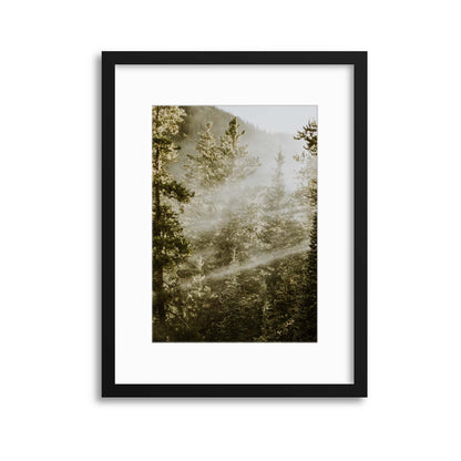 Sunbeam Forest Framed Print - USTAD HOME