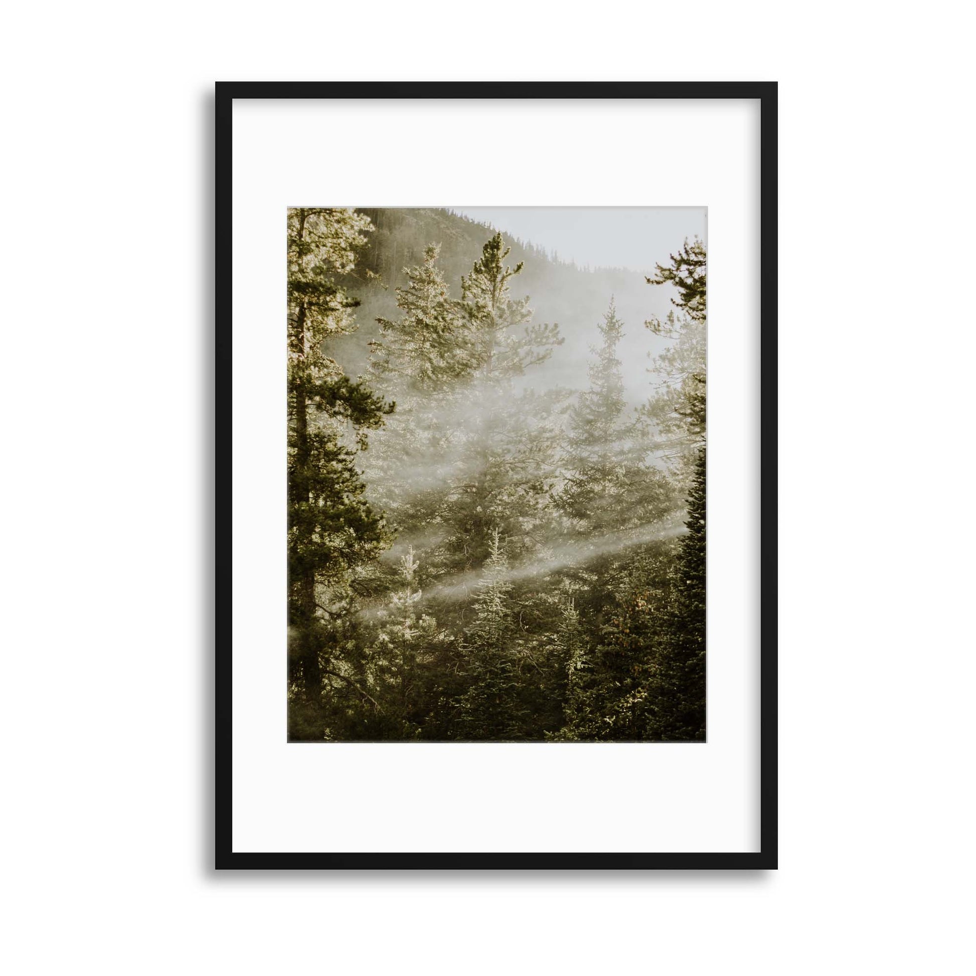 Sunbeam Forest Framed Print - USTAD HOME