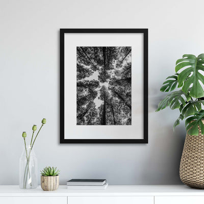 Forest Perspective Framed Print - USTAD HOME