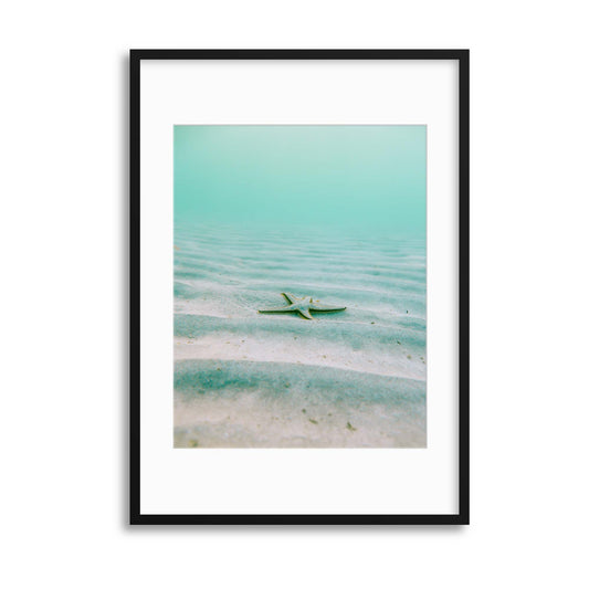 Starfish Ripples Framed Print - USTAD HOME