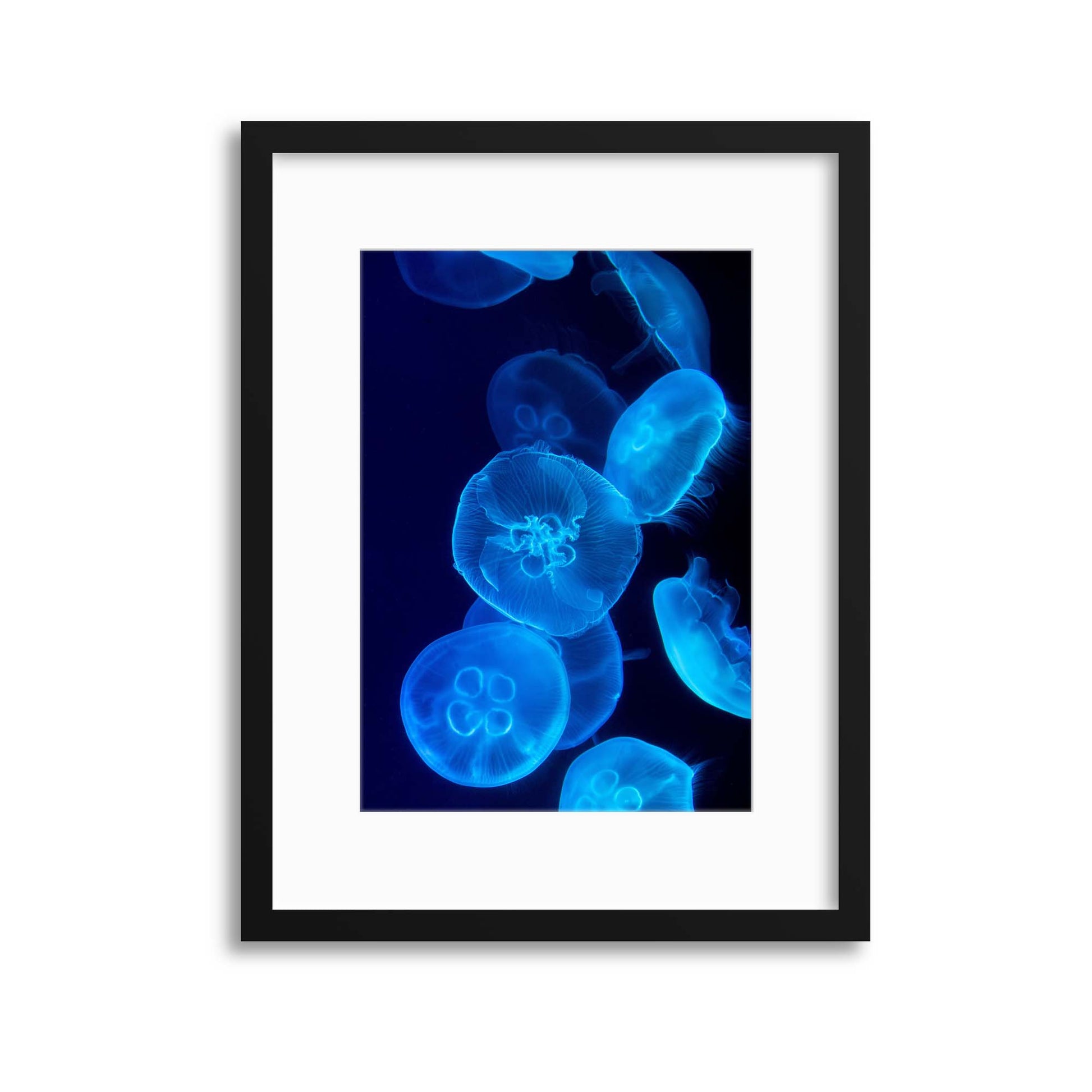 Medusa Illuminated Framed Print - USTAD HOME
