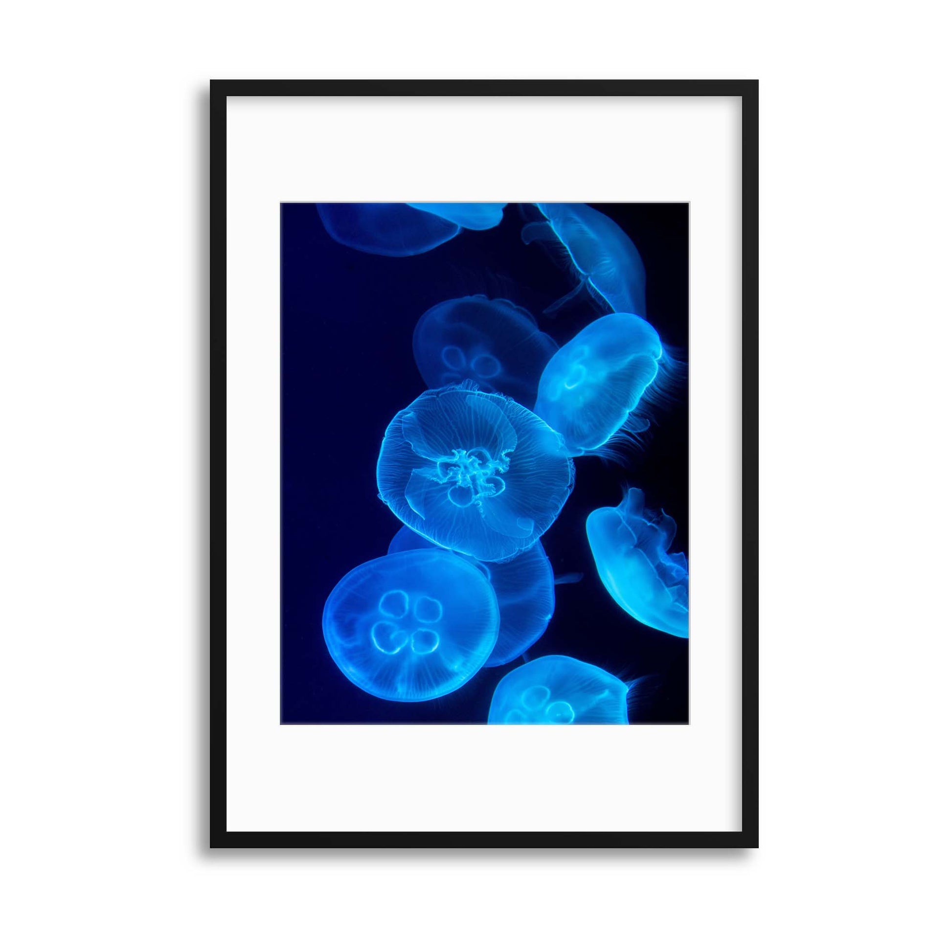 Medusa Illuminated Framed Print - USTAD HOME