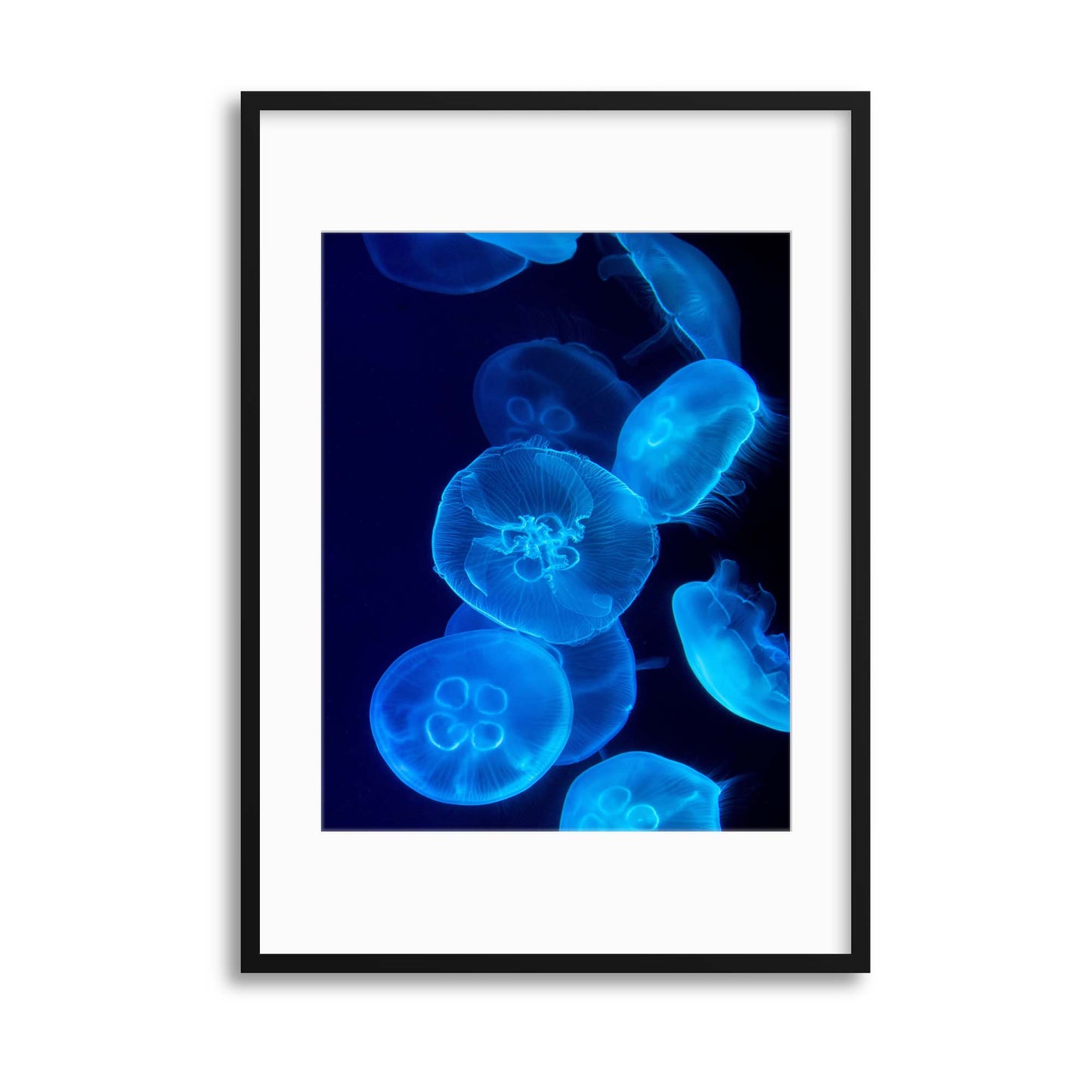 Medusa Illuminated Framed Print - USTAD HOME