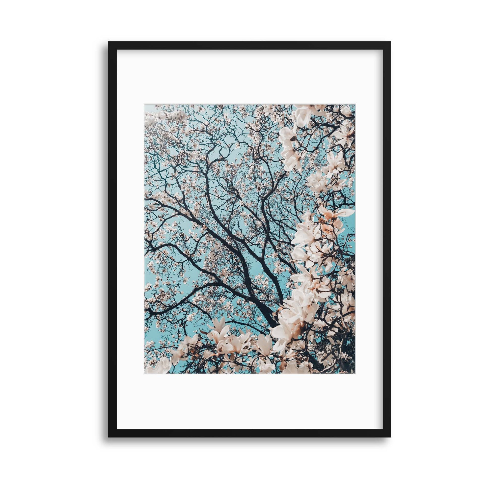 Magnolia Blossoms Framed Print - USTAD HOME