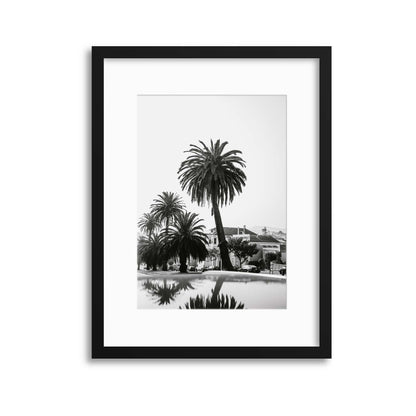 Palms in Monochrome Framed Print - USTAD HOME