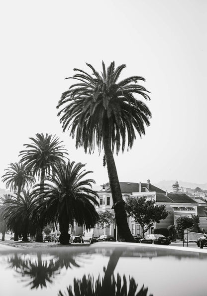 Palms in Monochrome Framed Print - USTAD HOME