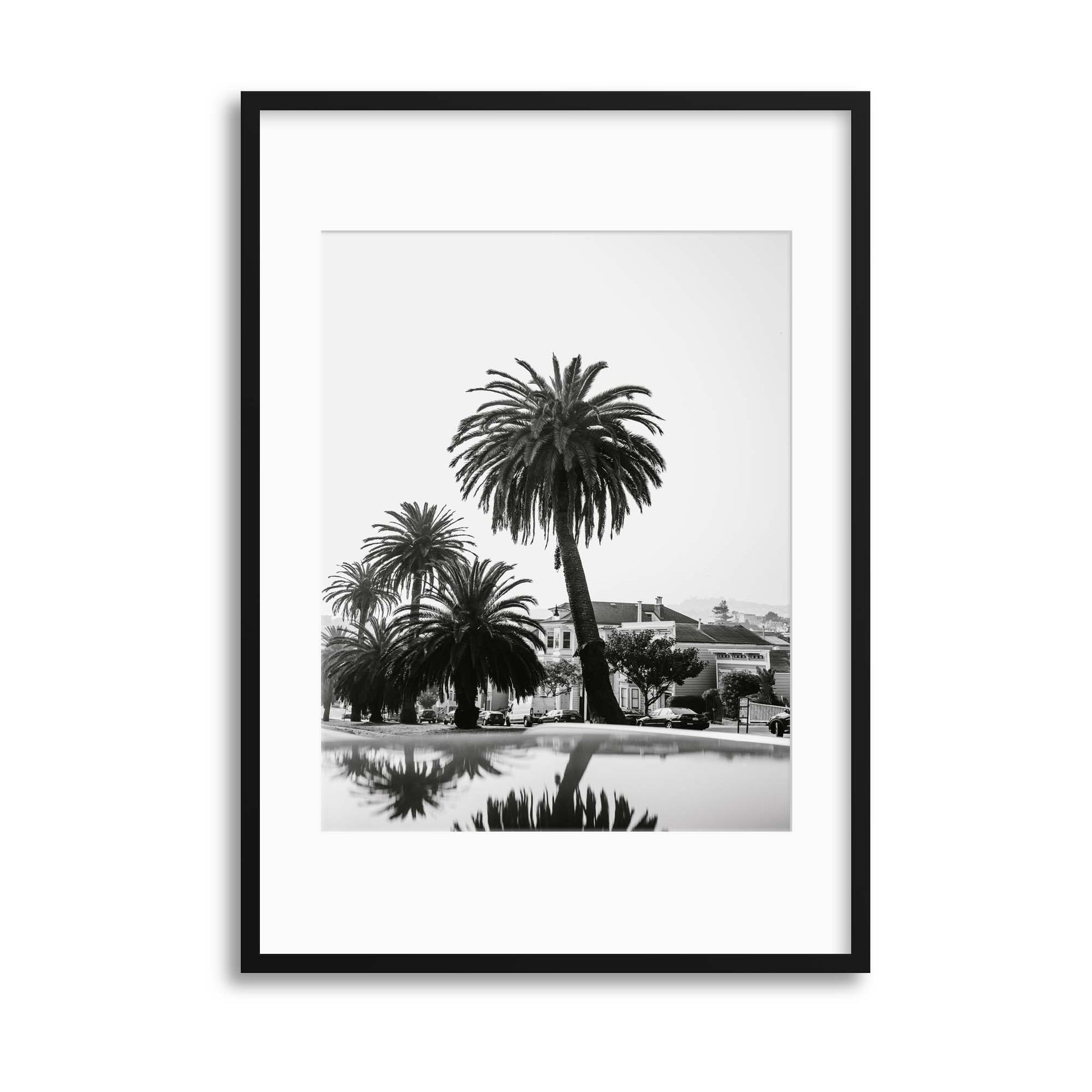 Palms in Monochrome Framed Print - USTAD HOME