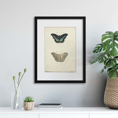 Vintage Illustrations: Butterflies Framed Print - USTAD HOME