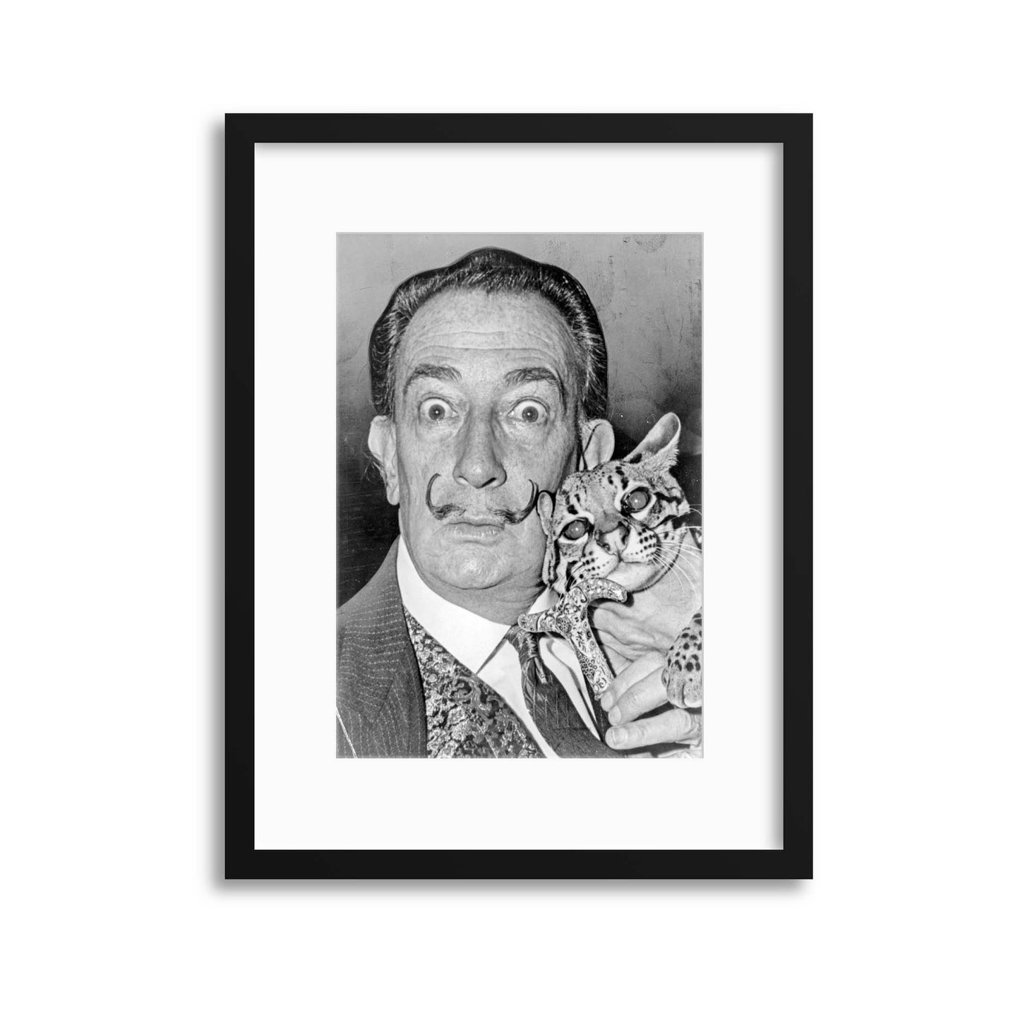 Salvador Dali, A Portrait Framed Print - USTAD HOME