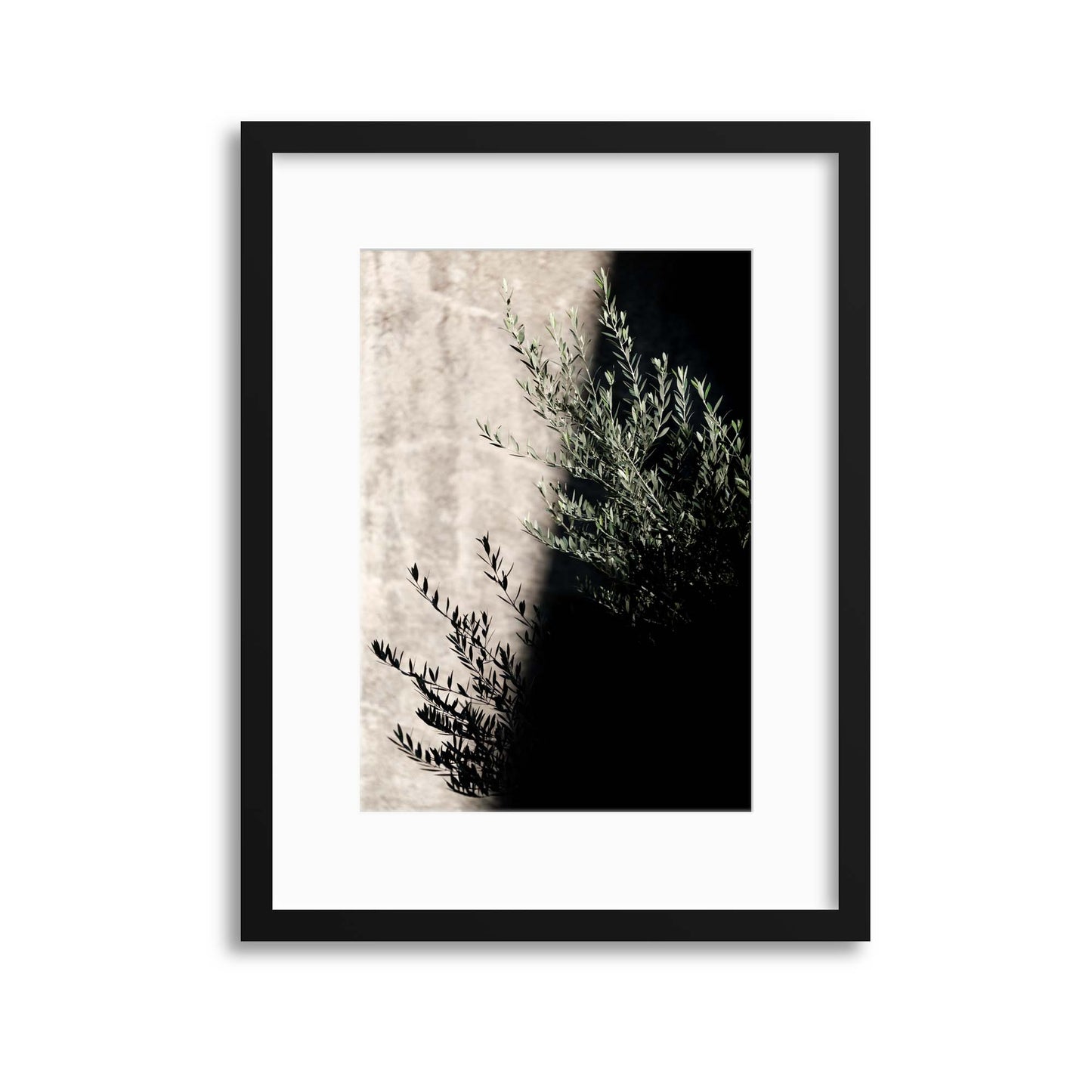 Olive Shadows Framed Print - USTAD HOME