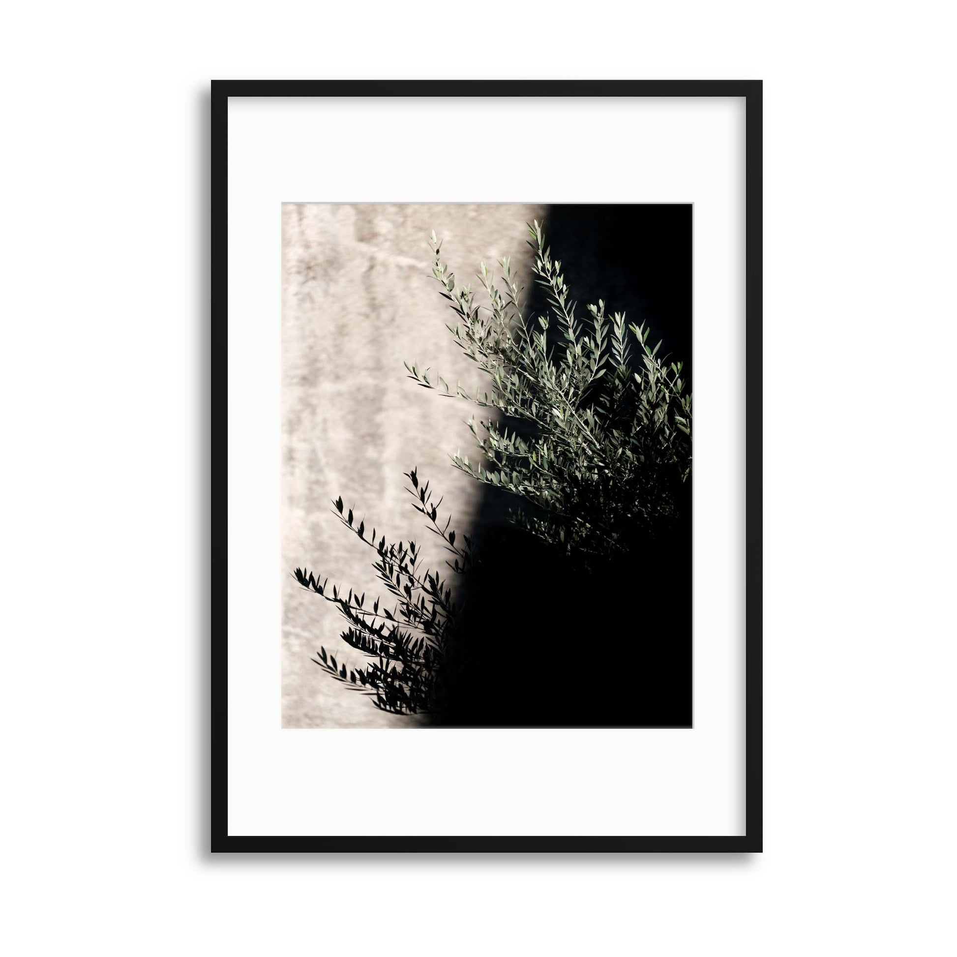 Olive Shadows Framed Print - USTAD HOME