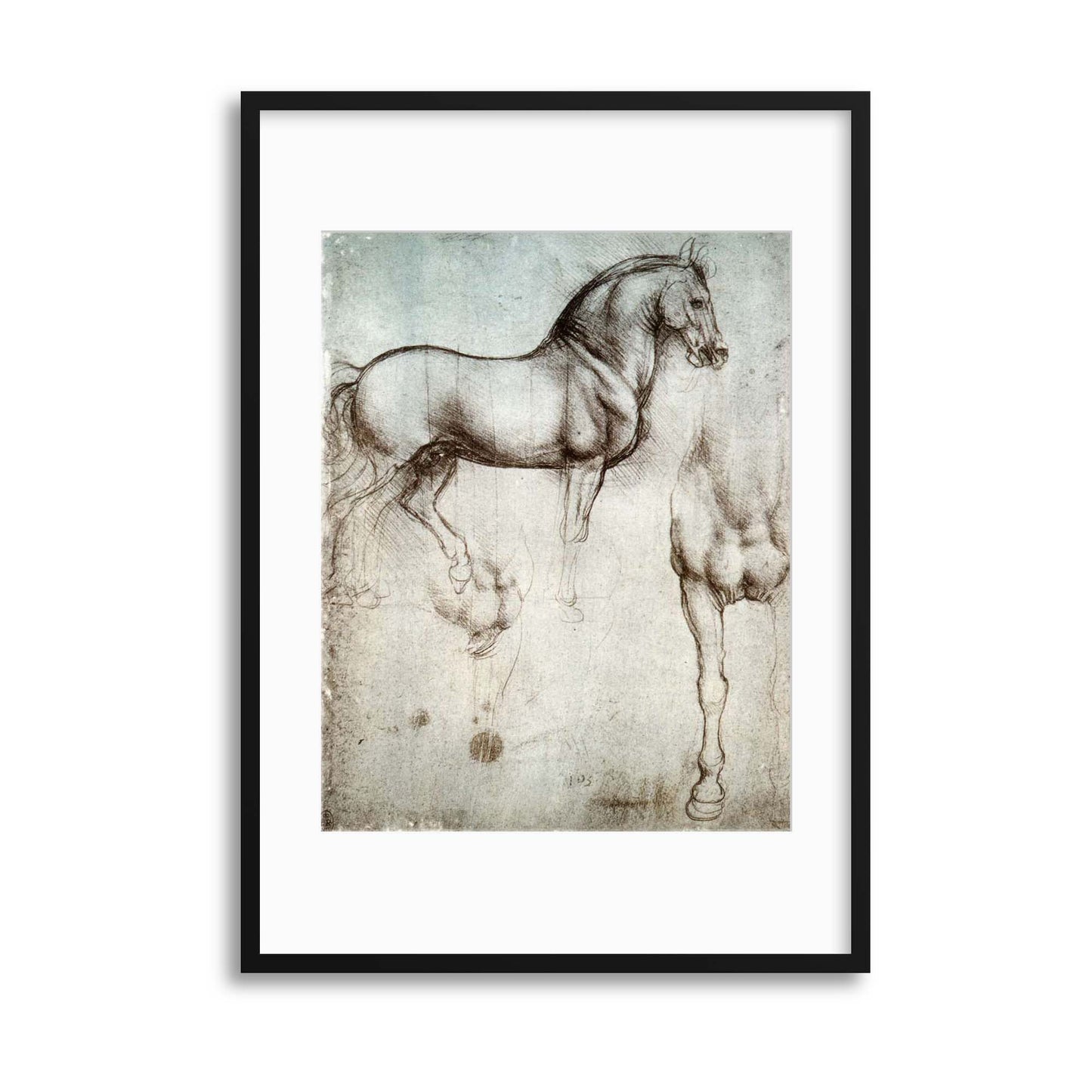 Leonardo Da Vinci &quot;Horse Drawing&quot; Framed Print - USTAD HOME