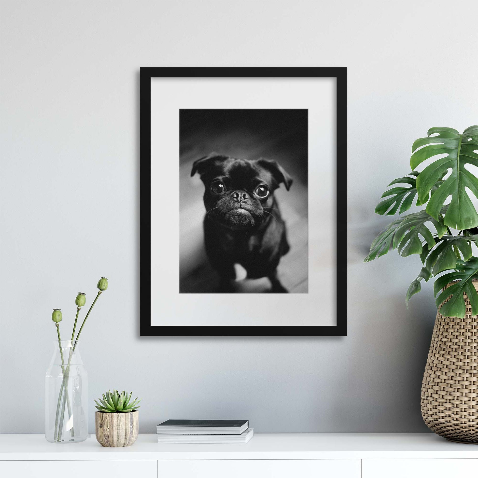 Pug Framed Print - USTAD HOME
