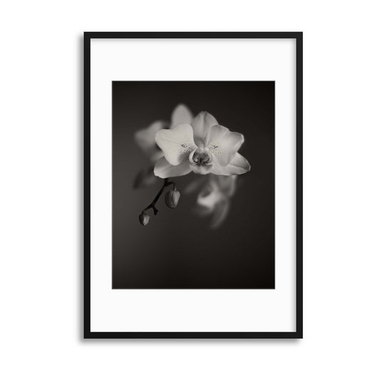 Floral Portrait I Framed Print - USTAD HOME