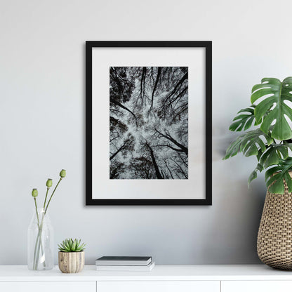 Looking Up in Monochrome Framed Print - USTAD HOME