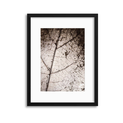Worn by Time Framed Print - USTAD HOME