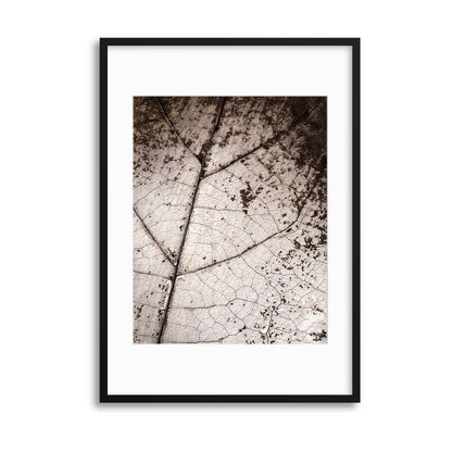 Worn by Time Framed Print - USTAD HOME