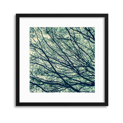 Through the Branches Framed Print - USTAD HOME