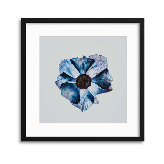 Flower in Blue Framed Print - USTAD HOME