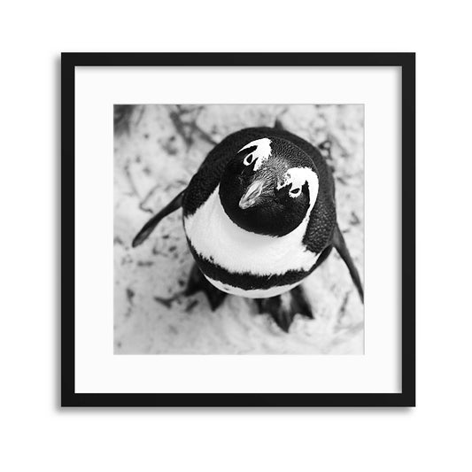 What&#39;s up? Framed Print - USTAD HOME