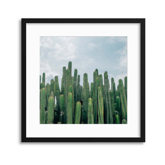 Pointing to the Desert Sky Framed Print - USTAD HOME