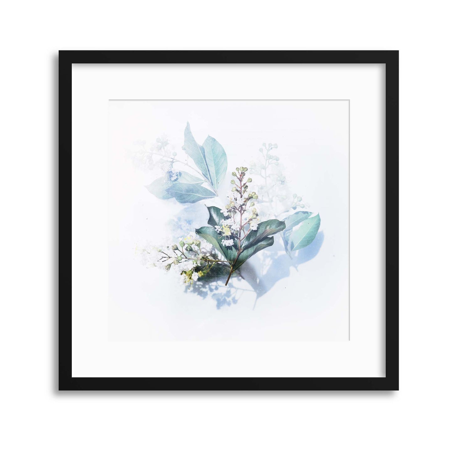 Floral Arrangements and Shadows II Framed Print - USTAD HOME