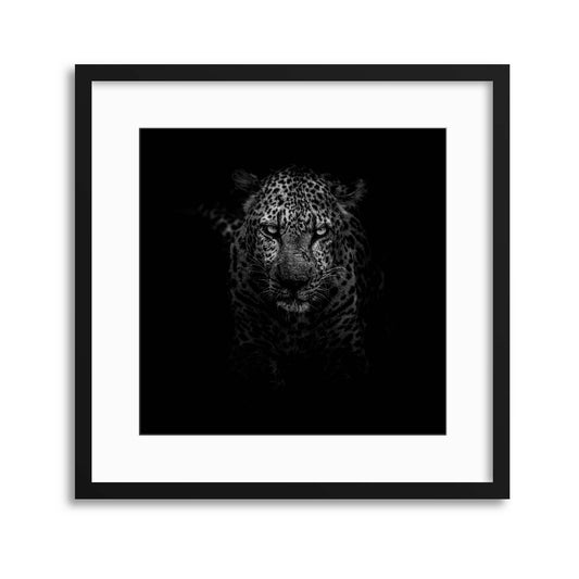 Stealth Expert Framed Print - USTAD HOME