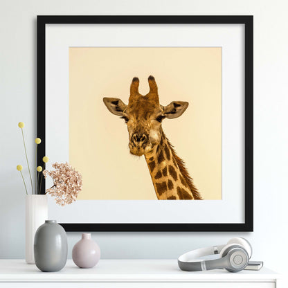 Giraffe Portrait Framed Print - USTAD HOME