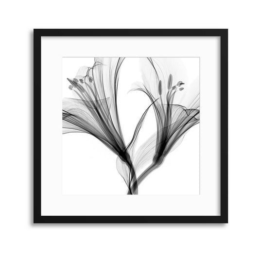 Xray Flowers II Framed Print - USTAD HOME