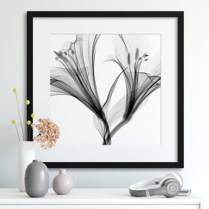 Xray Flowers II Framed Print - USTAD HOME