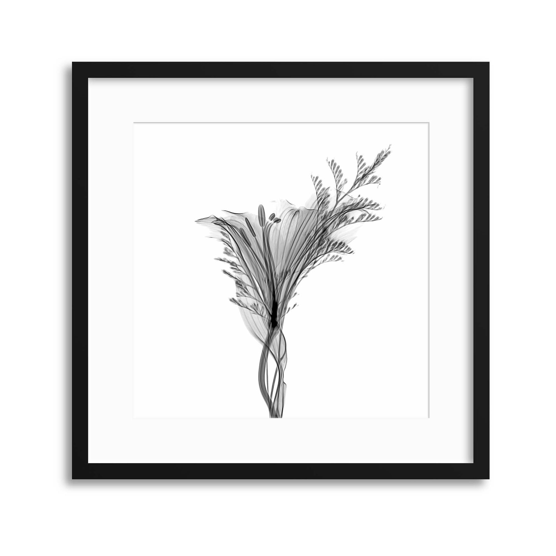 Xray Flowers I Framed Print - USTAD HOME