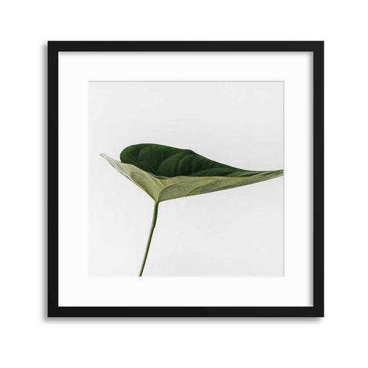 Natural Simplicity I Framed Print - USTAD HOME