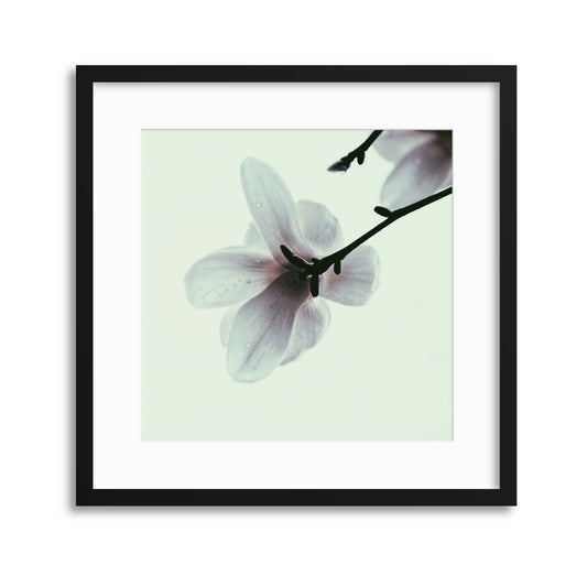 Tender Blossom Framed Print - USTAD HOME