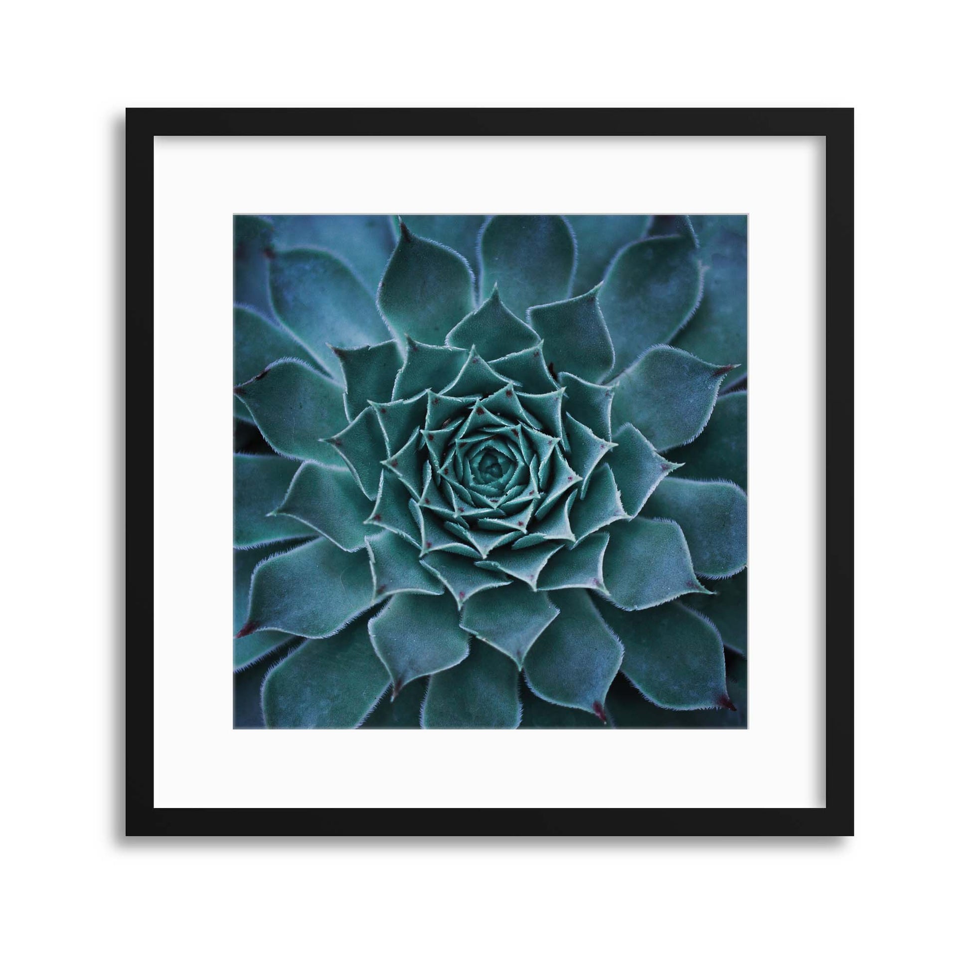 Natural Symmetry Framed Print - USTAD HOME